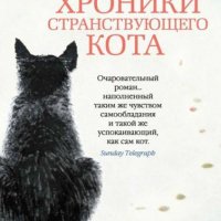 Хиро Арикава Хроники странствующего кота