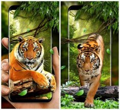 Moving Tiger Live Wallpaper v2.2.0.2285