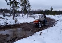 Ездили в лес на пикник