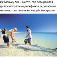 Пляж Monkey Mia