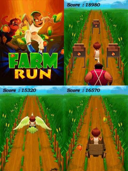 Farm Run 176x220