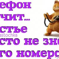 Телефон молчит...5с.