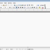 MS Office Word Pro 2003 (Portable)