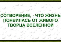 Сотворение убедительнее теории эволюции