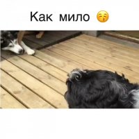 Как мило