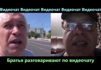 Видеочат. Братья общаются по видео