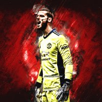 david-de-gea-manchester-united-fc-spanish-soccer-player-goa