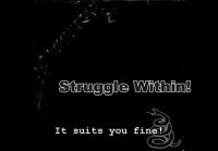 Metallica - The Struggle Within (HD) HD