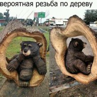 красота