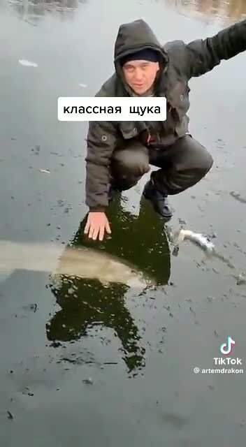 Классная щука