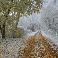 Первый снег