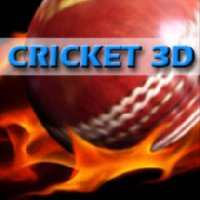 Cricket 3D