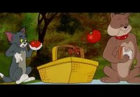 Tom & Jerry - Springtime Chasing