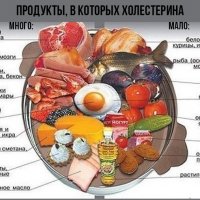 Продукты в котором ХОЛЕСТЕРИН многомало