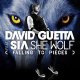 David Guetta Ft SIA - She Wolf