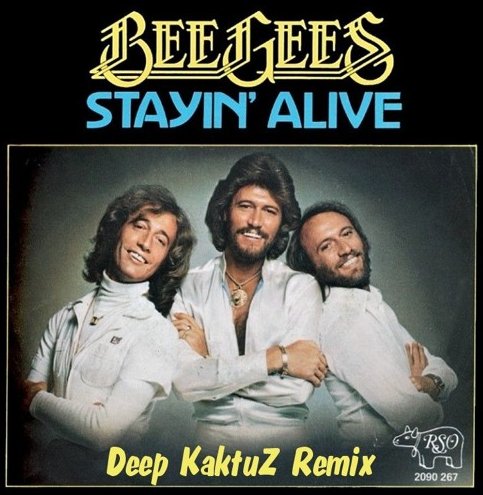 Bee Gees - Stayn Alive (Deep KaktuZ Remix)