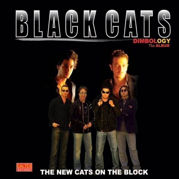 Black Cats - Sakhteh