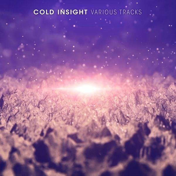 Cold Insight - Silver Night (premix with vocals)