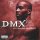 DMX - I can feel it