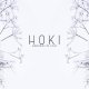 Hoki - Memories of Love (DSF Remix - Radio Edit)