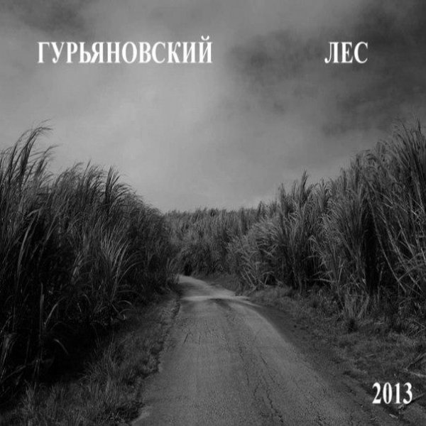 ГУРЬЯНОВСКИЙ ЛЕС - Gothic1