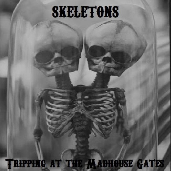 Skeletons - Blood Medicine