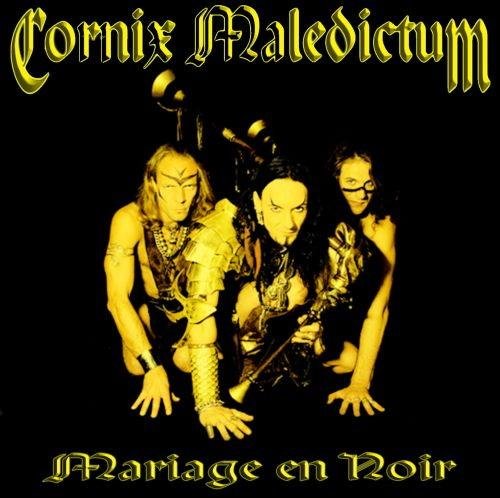 Cornix Maledictum - Der Hexer