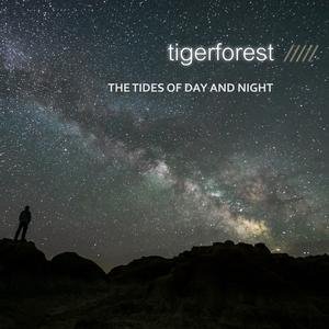 Tigerforest - Awakened By Silence