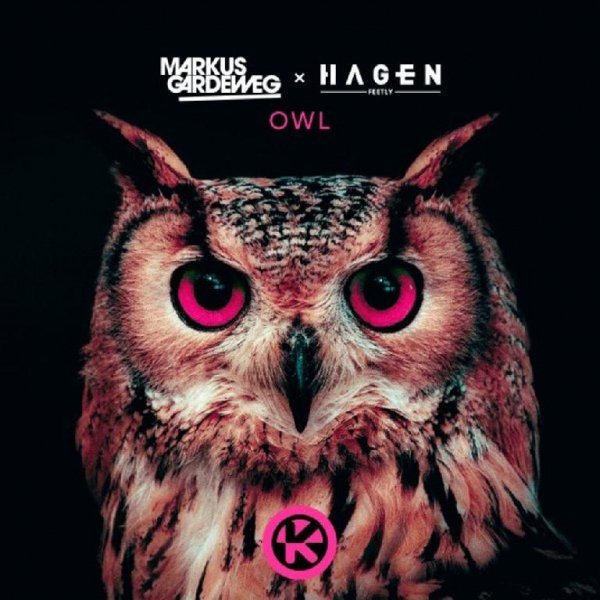 Markus Gardeweg - Owl