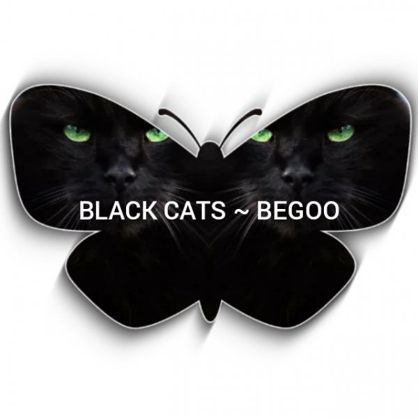 Black Cats - Mimiram Barat