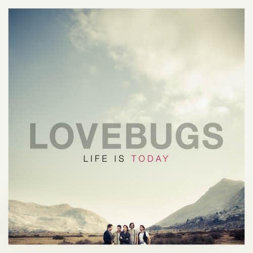 Lovebugs - 45 RPM (My Whole Life Story)