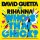 David Guetta, Rihanna - Who's That Chick?