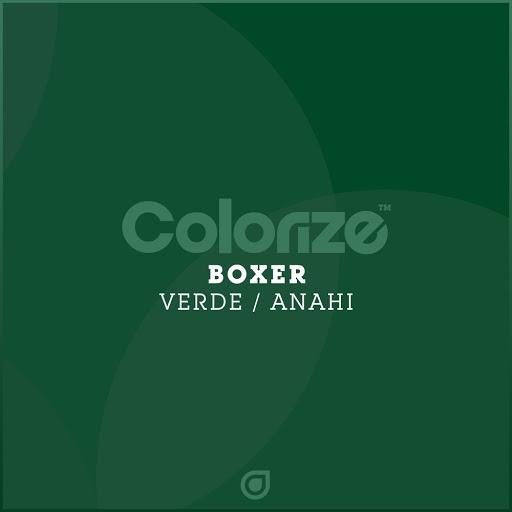 Boxer - Anahi (Original Mix)