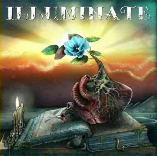 Illuminate - Auf Deinen Strahlen