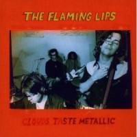 The Flaming Lips - Evil Will Prevail