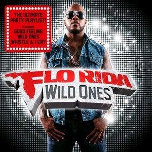 Flo Rida - Wild Ones