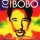 DJ BoBo - Man In The Mirror