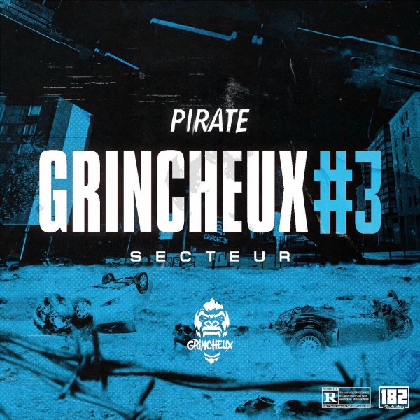 Pirate - Grincheux #3 - Secteur