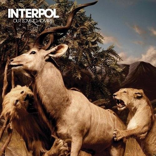 Interpol - Pioneer To The Falls