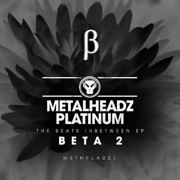 Beta 2 - Slide