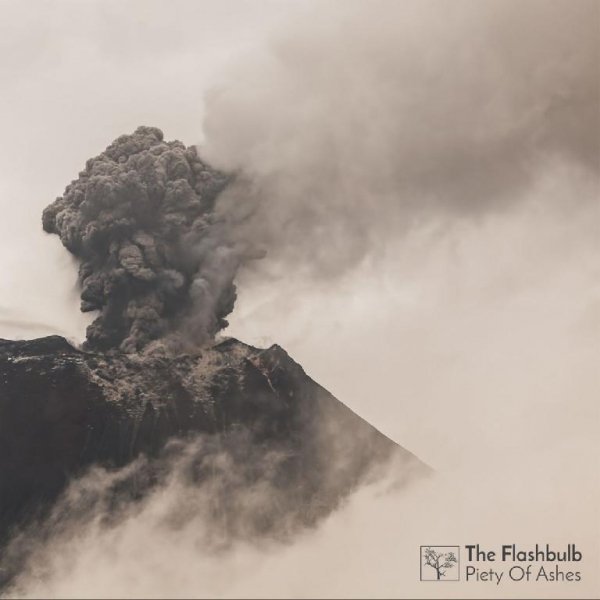 The Flashbulb - Porchfire