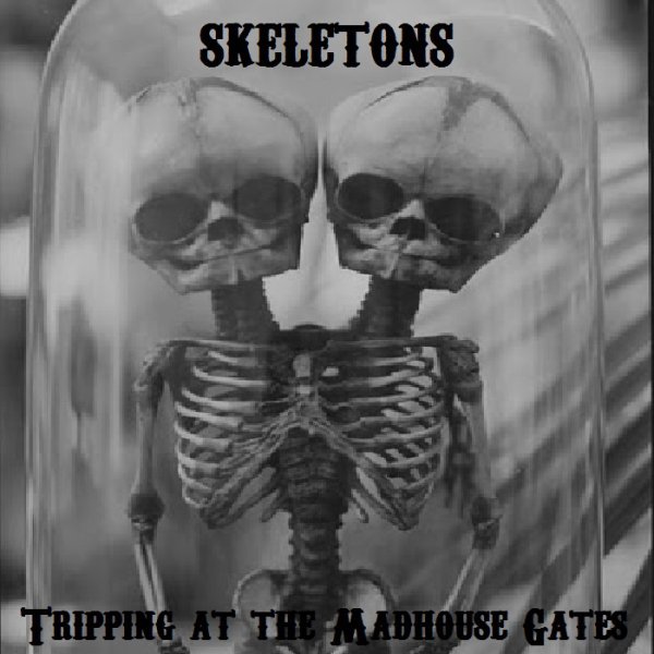 Skeletons - Anthem for this Haunted City (Agents of Oblivion Cover)