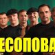 Лесоповал - Согласный