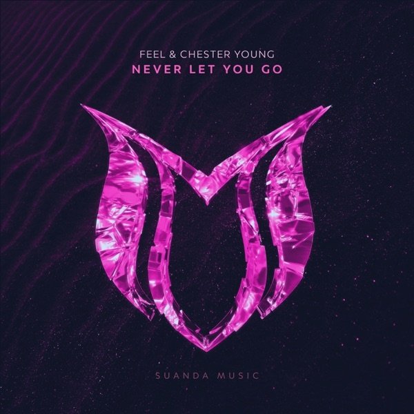 FEEL & Chester Young - Never Let You Go (Extended Mix)