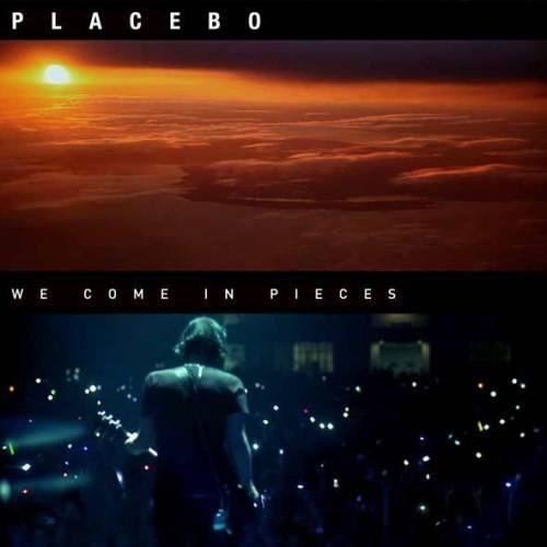 Placebo - The Never-Ending Why