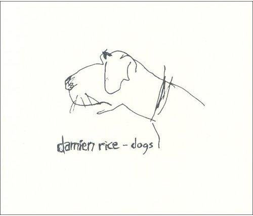 Damien Rice - Rootless Tree Live at Radio 3FM