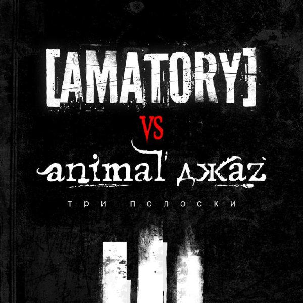 Amatory vs Animal ДжаZ - Три Полоски