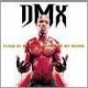 DMX - We dont give a fuck