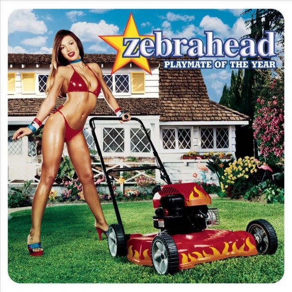 Zebrahead - What's Goin' On?