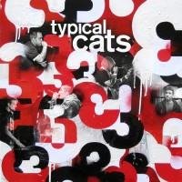 Typical Cats - The Bitter Cold